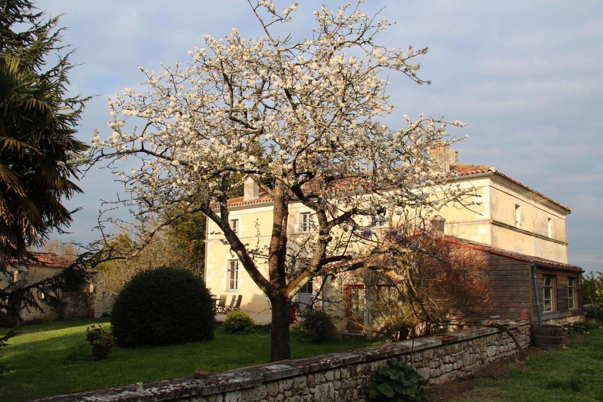 Domaine Terroceane 호텔 La-Gripperie-Saint-Symphorien 외부 사진