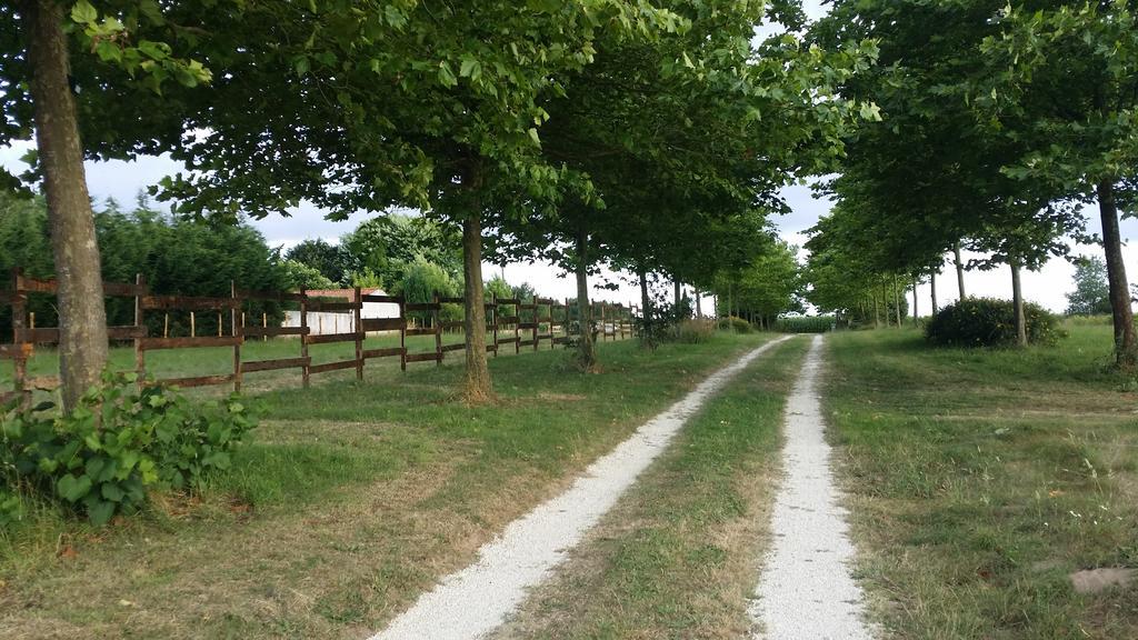 Domaine Terroceane 호텔 La-Gripperie-Saint-Symphorien 외부 사진