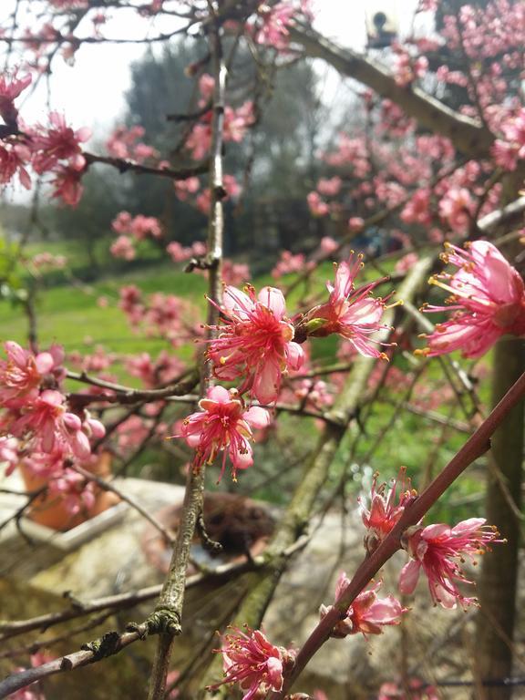 Domaine Terroceane 호텔 La-Gripperie-Saint-Symphorien 외부 사진